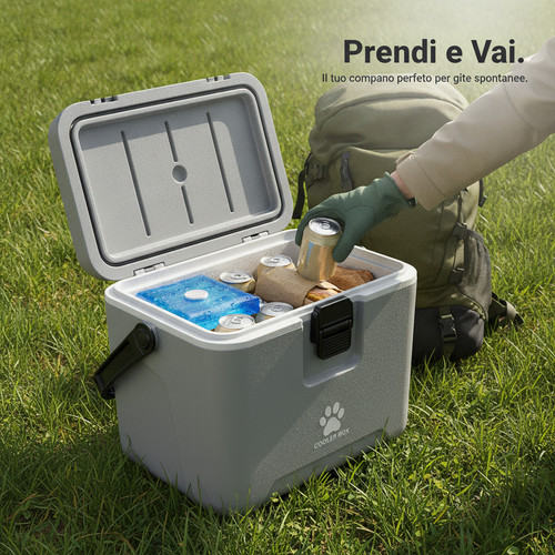 Frigorifero piccolo portatile - frigorifero,